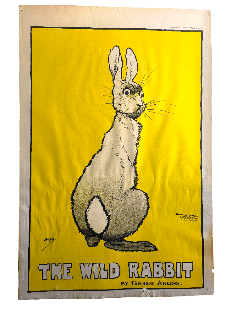 Affiche The Wild Rabbit avant restauration - déformations et fragilisation après dégât des eaux